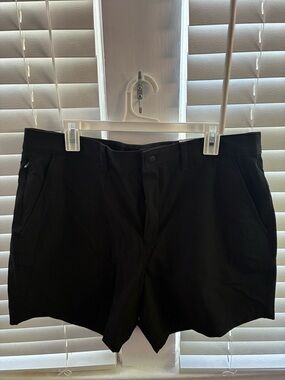 American Eagle Outfitters Black Flat Front Men's Shorts